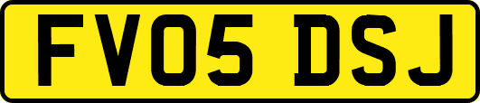 FV05DSJ