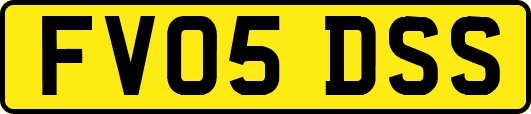 FV05DSS