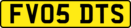 FV05DTS
