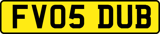 FV05DUB