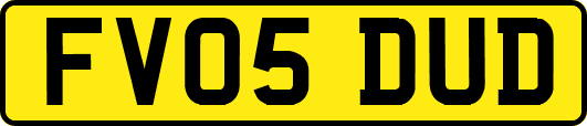 FV05DUD