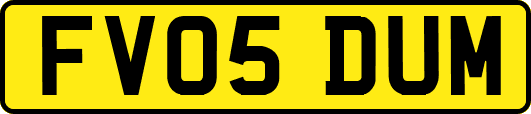 FV05DUM
