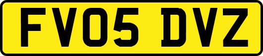 FV05DVZ
