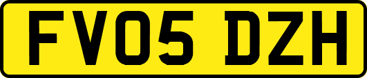 FV05DZH
