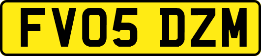 FV05DZM