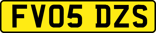 FV05DZS