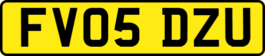 FV05DZU