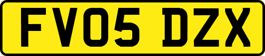 FV05DZX