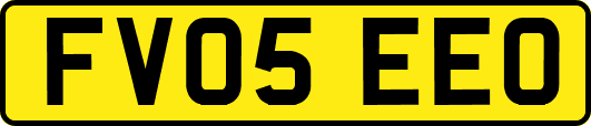 FV05EEO