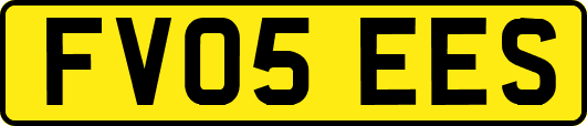 FV05EES