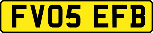 FV05EFB