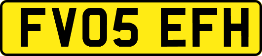 FV05EFH