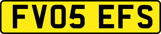 FV05EFS
