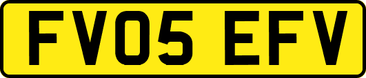 FV05EFV