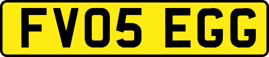 FV05EGG