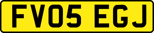 FV05EGJ