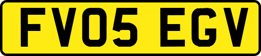 FV05EGV