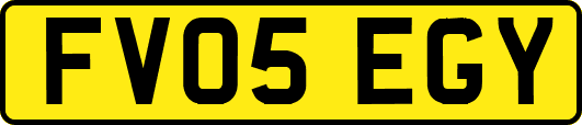 FV05EGY
