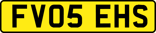 FV05EHS