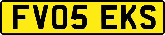 FV05EKS
