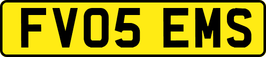 FV05EMS