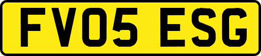 FV05ESG
