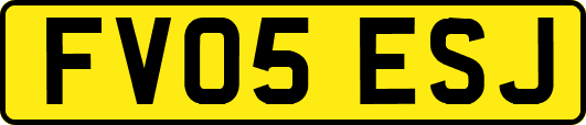FV05ESJ