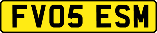 FV05ESM