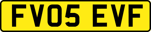 FV05EVF