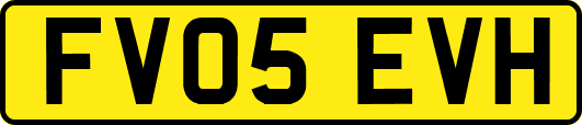 FV05EVH