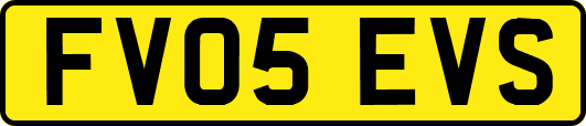 FV05EVS