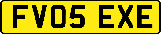 FV05EXE
