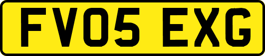 FV05EXG