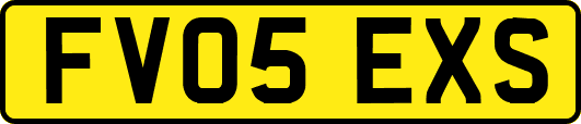 FV05EXS