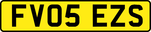 FV05EZS
