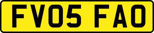 FV05FAO