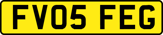 FV05FEG