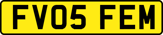 FV05FEM