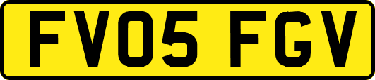 FV05FGV