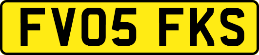 FV05FKS