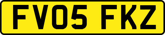 FV05FKZ