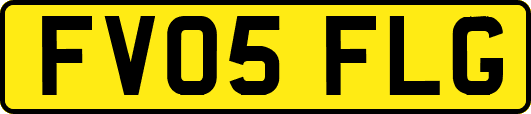 FV05FLG