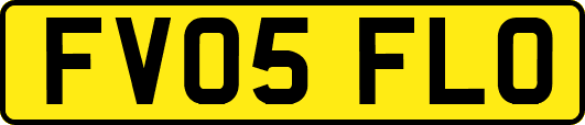 FV05FLO