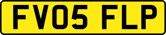 FV05FLP