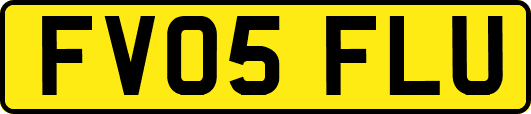 FV05FLU