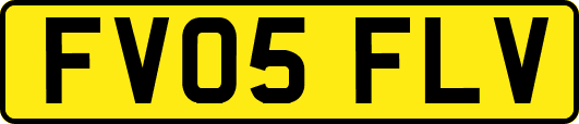 FV05FLV