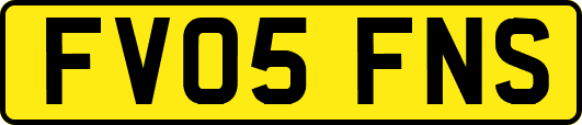 FV05FNS
