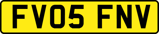 FV05FNV