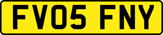 FV05FNY