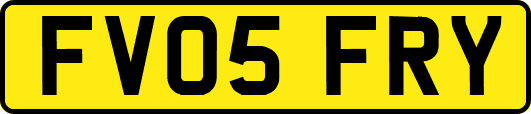 FV05FRY